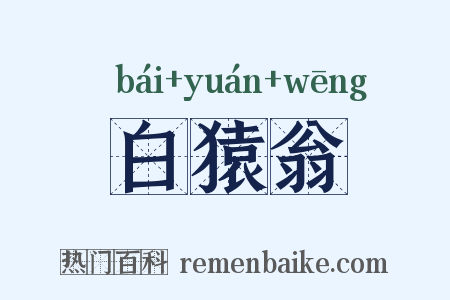 白猿翁是什么意思的图片